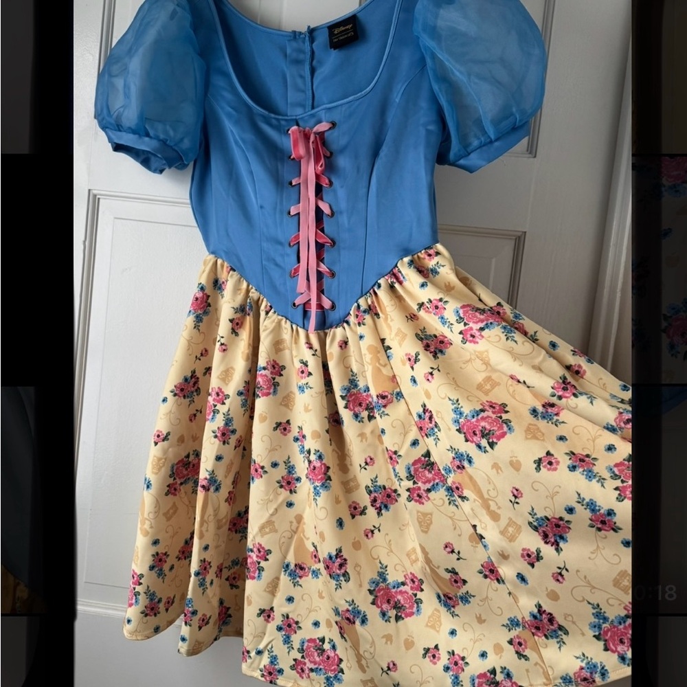 Disney Princess Blue Dress with Gold Accents